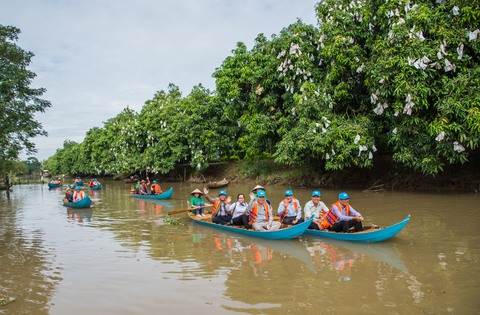 Nhiều cơ hội cho xoài Đồng Tháp ‘bay’ sang châu Âu - Ảnh 5. Nhiều cơ hội cho xoài Đồng Tháp ‘bay’ sang châu Âu - Ảnh 5.