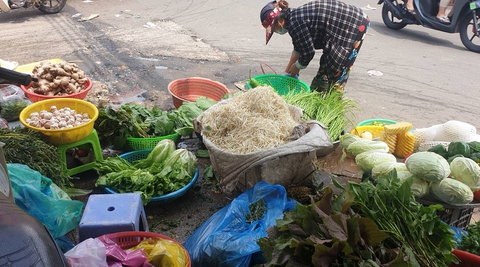 Giá cả hằng ngày 5-7: Giá vé máy bay tăng gấp đôi, không còn tour du lịch giá rẻ; Sữa tăng giá mới - Ảnh 5. Giá cả hằng ngày 5-7: Giá vé máy bay tăng gấp đôi, không còn tour du lịch giá rẻ; Sữa tăng giá mới - Ảnh 5.