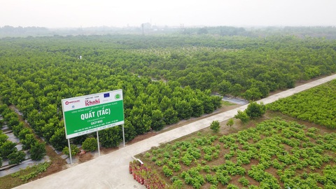 Khám phá quy trình sản xuất Siro ho cảm Ích Nhi đạt chuẩn quốc tế GMP-WHO - Ảnh 1. Khám phá quy trình sản xuất Siro ho cảm Ích Nhi đạt chuẩn quốc tế GMP-WHO - Ảnh 1.