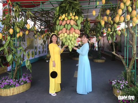 Người dân nô nức chen chân đêm khai mạc Lễ hội xoài Cao Lãnh lần thứ nhất - Ảnh 2. Người dân nô nức chen chân đêm khai mạc Lễ hội xoài Cao Lãnh lần thứ nhất - Ảnh 2.