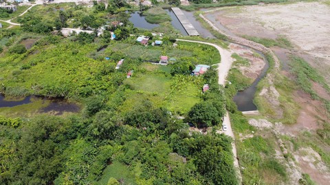Hải Phòng nói gì về việc bà cụ 75 tuổi chết sau vụ cưỡng chế thu hồi đất? - Ảnh 1. Hải Phòng nói gì về việc bà cụ 75 tuổi chết sau vụ cưỡng chế thu hồi đất? - Ảnh 1.