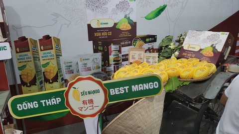 Đồng Tháp phấn đấu đến năm 2025 công suất chế biến xoài đạt 30.000 tấn - Ảnh 2. Đồng Tháp phấn đấu đến năm 2025 công suất chế biến xoài đạt 30.000 tấn - Ảnh 2.