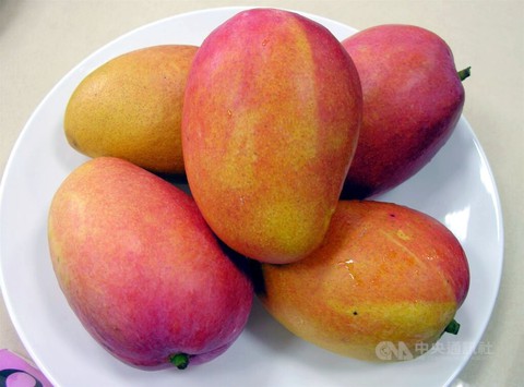 Hong Kong tiêu hủy 200kg xoài dính COVID-19 - Ảnh 1. Hong Kong tiêu hủy 200kg xoài dính COVID-19 - Ảnh 1.