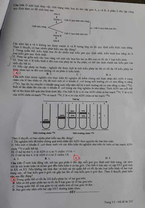 Gợi ý bài giải môn sinh học kỳ thi tốt nghiệp THPT 2022 - Ảnh 5. Gợi ý bài giải môn sinh học kỳ thi tốt nghiệp THPT 2022 - Ảnh 5.