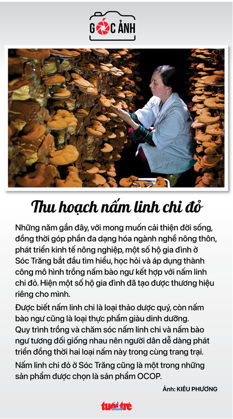Tin sáng 9-7: Gỡ vướng cho dự án của Lego; Chưa thể hoàn tiền cho người bệnh BHYT phải tự mua thuốc - Ảnh 7. Tin sáng 9-7: Gỡ vướng cho dự án của Lego; Chưa thể hoàn tiền cho người bệnh BHYT phải tự mua thuốc - Ảnh 7.