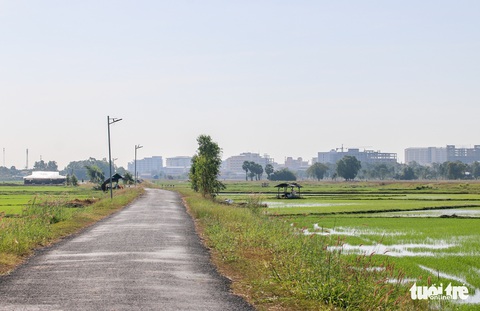 Ôm mộng việc nhẹ, lương cao ở Campuchia, có người bỏ mạng khi tìm đường về - Ảnh 3. Ôm mộng việc nhẹ, lương cao ở Campuchia, có người bỏ mạng khi tìm đường về - Ảnh 3.