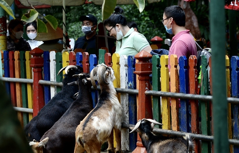Đi sở thú, đừng ngược đãi động vật! - Ảnh 1. Đi sở thú, đừng ngược đãi động vật! - Ảnh 1.