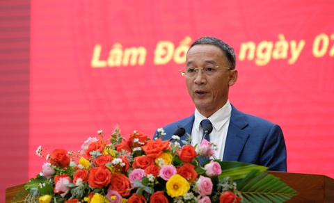Phá rừng ở Lâm Đồng: Có sự bao che của chính quyền, lực lượng chức năng - Ảnh 2. Phá rừng ở Lâm Đồng: Có sự bao che của chính quyền, lực lượng chức năng - Ảnh 2.