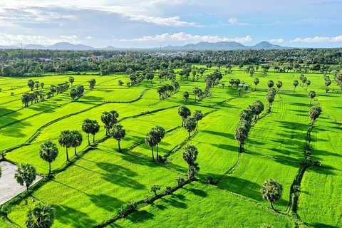 Về Tịnh Biên - An Giang leo núi Cấm, ngắm hoàng hôn trên cánh đồng thốt nốt - Ảnh 1. Về Tịnh Biên - An Giang leo núi Cấm, ngắm hoàng hôn trên cánh đồng thốt nốt - Ảnh 1.