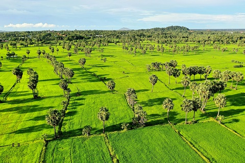 Về Tịnh Biên - An Giang leo núi Cấm, ngắm hoàng hôn trên cánh đồng thốt nốt - Ảnh 11. Về Tịnh Biên - An Giang leo núi Cấm, ngắm hoàng hôn trên cánh đồng thốt nốt - Ảnh 11.