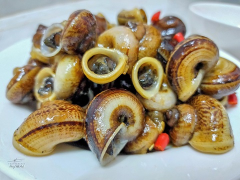 Về Tịnh Biên - An Giang leo núi Cấm, ngắm hoàng hôn trên cánh đồng thốt nốt - Ảnh 20. Về Tịnh Biên - An Giang leo núi Cấm, ngắm hoàng hôn trên cánh đồng thốt nốt - Ảnh 20.