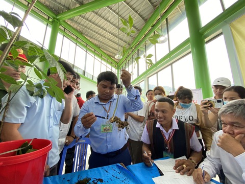 Du khách thú vị xem hội thi sâm Ngọc Linh ở thủ phủ sâm Nam Trà My - Ảnh 5. Du khách thú vị xem hội thi sâm Ngọc Linh ở thủ phủ sâm Nam Trà My - Ảnh 5.