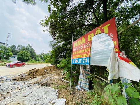 Văn phòng nhà đất chuyển qua bán bia hơi, trà đá - Ảnh 3. Văn phòng nhà đất chuyển qua bán bia hơi, trà đá - Ảnh 3.