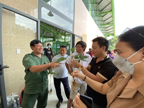 Du khách thú vị xem hội thi sâm Ngọc Linh ở thủ phủ sâm Nam Trà My - Ảnh 3. Du khách thú vị xem hội thi sâm Ngọc Linh ở thủ phủ sâm Nam Trà My - Ảnh 3.