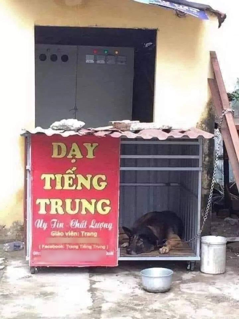 Ảnh vui 1/8: Cô Trang dạy tiếng Trung uy tín và chất lượng - Ảnh 1. Ảnh vui 1/8: Cô Trang dạy tiếng Trung uy tín và chất lượng - Ảnh 1.