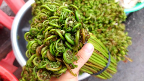 Đọt choại nhúng lẩu mắm cá đồng hao cơm phải biết - Ảnh 3. Đọt choại nhúng lẩu mắm cá đồng hao cơm phải biết - Ảnh 3.