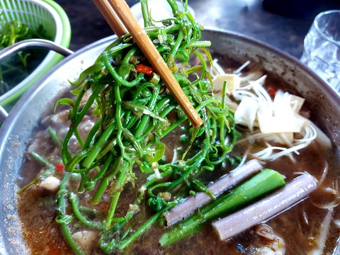 Đọt choại nhúng lẩu mắm cá đồng hao cơm phải biết - Ảnh 5. Đọt choại nhúng lẩu mắm cá đồng hao cơm phải biết - Ảnh 5.