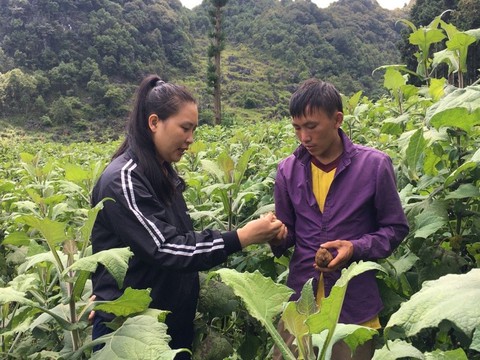 Nữ doanh nhân Việt Nam kiên cường vượt qua đại dịch - Ảnh 1. Nữ doanh nhân Việt Nam kiên cường vượt qua đại dịch - Ảnh 1.
