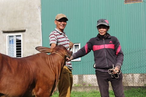 Được trao bò mừng hơn cả được tiền - Ảnh 5. Được trao bò mừng hơn cả được tiền - Ảnh 5.