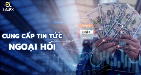 Vì sao nhà đầu tư cần một cổng tra cứu thông tin - Ảnh 3. Vì sao nhà đầu tư cần một cổng tra cứu thông tin - Ảnh 3.