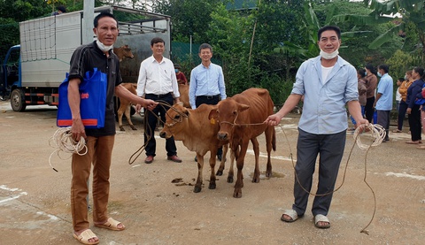 38 chiếc ‘cần câu’ cho dân nghèo sau dịch bệnh - Ảnh 3. 38 chiếc ‘cần câu’ cho dân nghèo sau dịch bệnh - Ảnh 3.