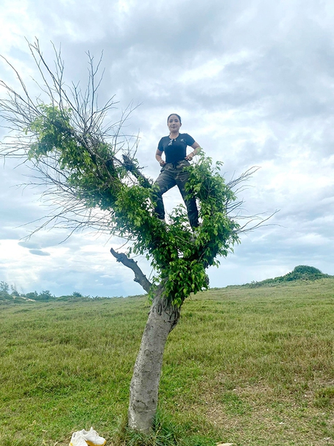 Ảnh vui sao Việt 12-8: Cát Tường leo trèo, quậy trên ngọn cây cao - Ảnh 1. Ảnh vui sao Việt 12-8: Cát Tường leo trèo, quậy trên ngọn cây cao - Ảnh 1.