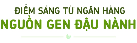 Xây nền móng cho nông nghiệp đậu nành bền vững - Ảnh 1.