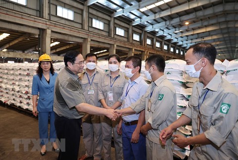 Thủ tướng Phạm Minh Chính: Tái cơ cấu để giữ thương hiệu Đạm Hà Bắc - Ảnh 3. Thủ tướng Phạm Minh Chính: Tái cơ cấu để giữ thương hiệu Đạm Hà Bắc - Ảnh 3.