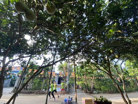 Chạy bộ dưới làng trái cây mát rượi, ngắm sông Thu Bồn thơ mộng - Ảnh 2. Chạy bộ dưới làng trái cây mát rượi, ngắm sông Thu Bồn thơ mộng - Ảnh 2.