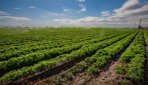 Cảnh báo siêu lũ lụt ảnh hưởng an ninh lương thực ở California - Ảnh 1. Cảnh báo siêu lũ lụt ảnh hưởng an ninh lương thực ở California - Ảnh 1.