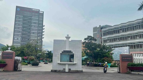 Vì sao điểm sàn các ngành sư phạm của Đại học Quy Nhơn cao nhất nước? - Ảnh 1. Vì sao điểm sàn các ngành sư phạm của Đại học Quy Nhơn cao nhất nước? - Ảnh 1.
