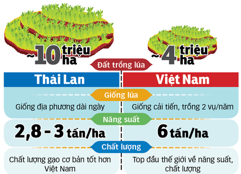 Việt Nam thua Thái Lan về giống nông sản? - Ảnh 2. Việt Nam thua Thái Lan về giống nông sản? - Ảnh 2.