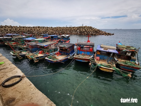 Yêu cầu ngăn chặn tình trạng đánh bắt tận diệt thủy sản - Ảnh 2. Yêu cầu ngăn chặn tình trạng đánh bắt tận diệt thủy sản - Ảnh 2.