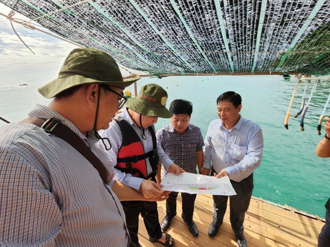 Buộc tháo dỡ công trình trái phép, tạm dừng hoạt động lặn ngắm san hô ở biển nam Phú Quốc - Ảnh 1. Buộc tháo dỡ công trình trái phép, tạm dừng hoạt động lặn ngắm san hô ở biển nam Phú Quốc - Ảnh 1.