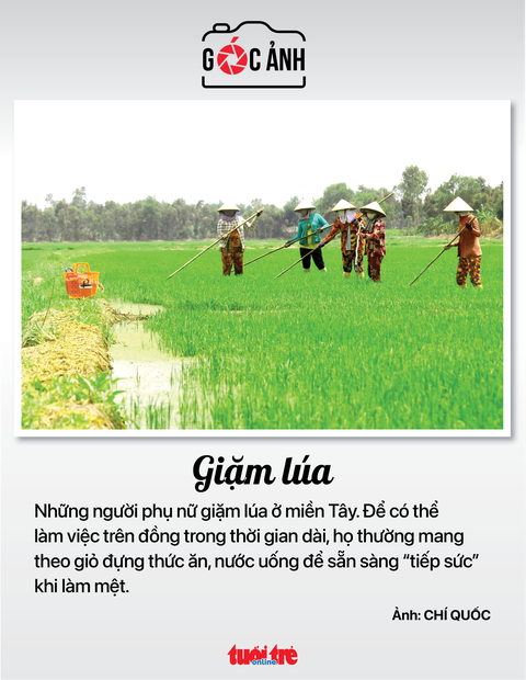 Tin sáng 17-8: Kiểm tra, đôn đốc giải ngân vốn đầu tư công; Giữ ổn định giá điện - Ảnh 6. Tin sáng 17-8: Kiểm tra, đôn đốc giải ngân vốn đầu tư công; Giữ ổn định giá điện - Ảnh 6.
