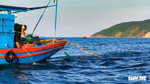 Hà Tĩnh vào cuộc sau loạt bài Tàu giã điện tàn sát trên biển - Ảnh 1. Hà Tĩnh vào cuộc sau loạt bài Tàu giã điện tàn sát trên biển - Ảnh 1.