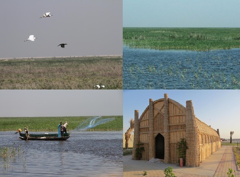 Vườn địa đàng của Iraq thành sa mạc vì hạn hán khủng khiếp - Ảnh 3. Vườn địa đàng của Iraq thành sa mạc vì hạn hán khủng khiếp - Ảnh 3.