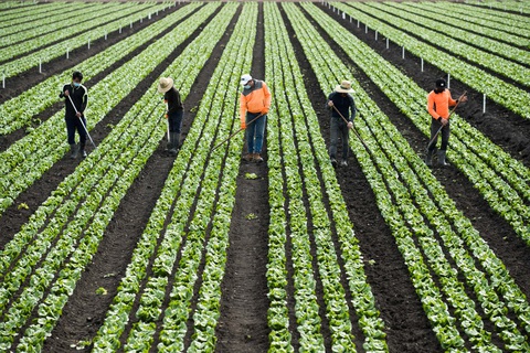 Australia xem xét nâng trần nhập cư để tăng nguồn cung lao động - Ảnh 1. Australia xem xét nâng trần nhập cư để tăng nguồn cung lao động - Ảnh 1.