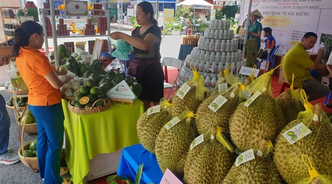 Người dân TP.HCM có cơ hội ‘săn’ hàng loạt giống rau củ quả, đặc sản vùng miền - Ảnh 1. Người dân TP.HCM có cơ hội ‘săn’ hàng loạt giống rau củ quả, đặc sản vùng miền - Ảnh 1.