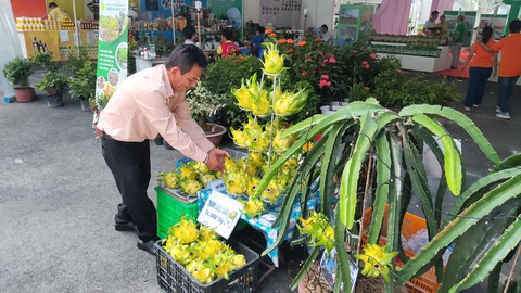 Người dân TP.HCM có cơ hội ‘săn’ hàng loạt giống rau củ quả, đặc sản vùng miền - Ảnh 2. Người dân TP.HCM có cơ hội ‘săn’ hàng loạt giống rau củ quả, đặc sản vùng miền - Ảnh 2.