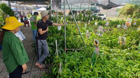 Người dân TP.HCM có cơ hội ‘săn’ hàng loạt giống rau củ quả, đặc sản vùng miền - Ảnh 3. Người dân TP.HCM có cơ hội ‘săn’ hàng loạt giống rau củ quả, đặc sản vùng miền - Ảnh 3.