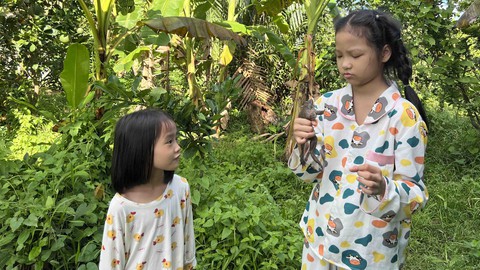 Em chở mùa hè của tôi đi đâu? - Kỳ 9: Rủ nhau săn gà đồng - Ảnh 1. Em chở mùa hè của tôi đi đâu? - Kỳ 9: Rủ nhau săn gà đồng - Ảnh 1.
