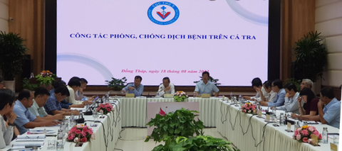 Chất lượng cá tra giống giảm, hao hụt nhiều và giá cả biến động mạnh - Ảnh 1. Chất lượng cá tra giống giảm, hao hụt nhiều và giá cả biến động mạnh - Ảnh 1.