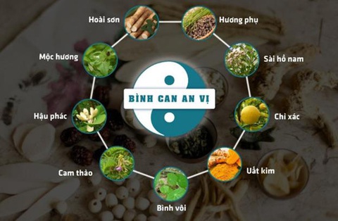 Điều gì khiến trào ngược dạ dày khó khỏi? - Ảnh 3. Điều gì khiến trào ngược dạ dày khó khỏi? - Ảnh 3.