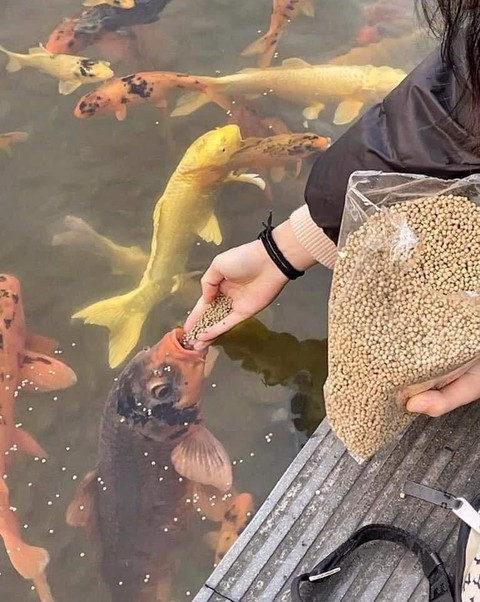 Ảnh vui 20-8: Bảo chủ tiệm làm cho cặp chân mày hài hòa có sự liên kết - Ảnh 8. Ảnh vui 20-8: Bảo chủ tiệm làm cho cặp chân mày hài hòa có sự liên kết - Ảnh 8.