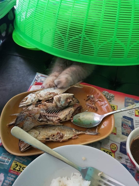 Ảnh vui 20-8: Bảo chủ tiệm làm cho cặp chân mày hài hòa có sự liên kết - Ảnh 6. Ảnh vui 20-8: Bảo chủ tiệm làm cho cặp chân mày hài hòa có sự liên kết - Ảnh 6.