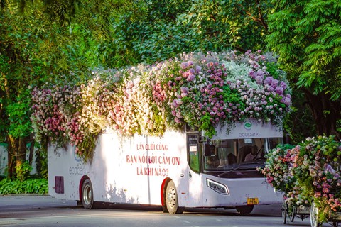 Roadshow siêu ấn tượng: Xe đạp, xích lô, bus ngập tràn sắc hoa sen - Ảnh 4. Roadshow siêu ấn tượng: Xe đạp, xích lô, bus ngập tràn sắc hoa sen - Ảnh 4.