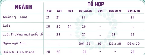 4 trường đại học Sài Gòn, Luật, Tôn Đức Thắng, Ngoại ngữ tin học công bố điểm sàn - Ảnh 3.