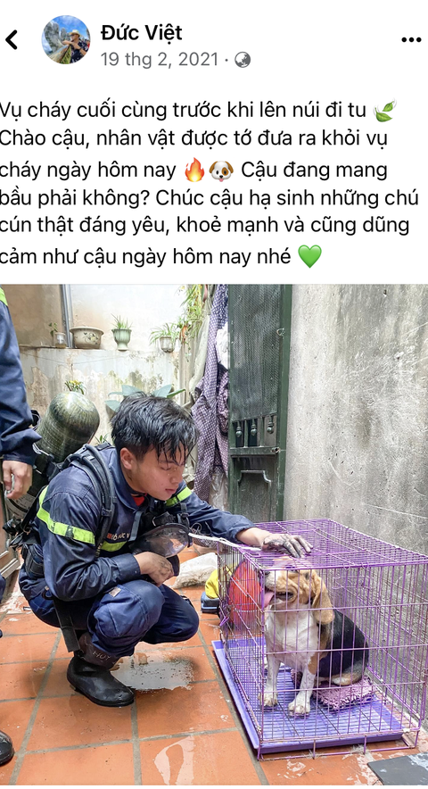 Di ảnh người lính cứu hỏa Đỗ Đức Việt bên chú cún được cứu lay động cộng đồng mạng - Ảnh 2. Di ảnh người lính cứu hỏa Đỗ Đức Việt bên chú cún được cứu lay động cộng đồng mạng - Ảnh 2.