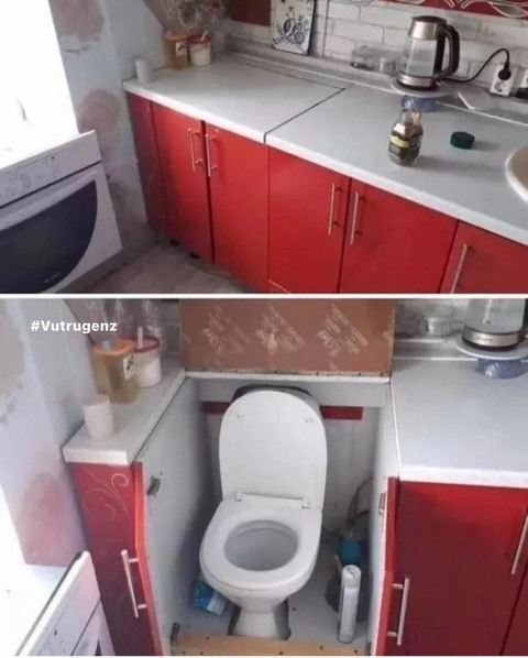 Ảnh vui 21-8: Cất sổ đỏ nhanh kẻo trễ Sen ơi! - Ảnh 5. Ảnh vui 21-8: Cất sổ đỏ nhanh kẻo trễ Sen ơi! - Ảnh 5.